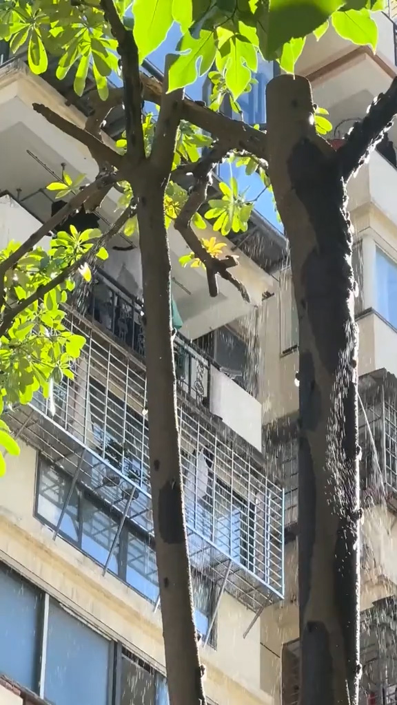 Nguồn gốc của những cơn “mưa mùa hạ” dù trên đầu chẳng một gợn mây 🥹
